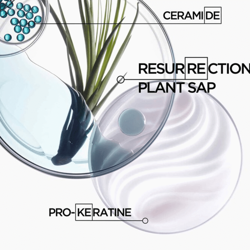 شامبو ريزيستانس باين فورس أركيتيكت لتقوية الشعر من كيراستاس - 250مل