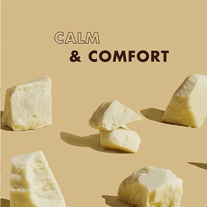 غسول وشامبو للأطفال بالشيا الخام والبابونج وزيت الأرغان من شيا مويستشر - 384 مل