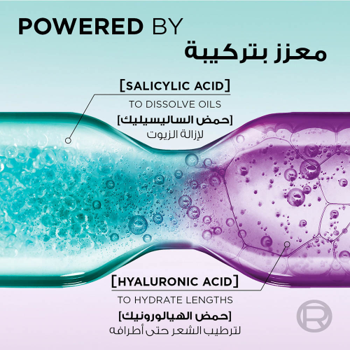شامبو ايلفيف هيالورون بيور منقي للشعر الدهني من لوريال باريس - 600 مل