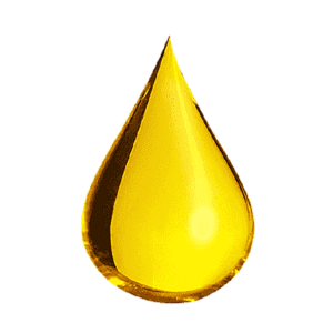 73995033_LorealParisElviveExtraordinaryOilForColouredHair-100ml1-680x680 زيت شعر ايلفيف للشعر المصبوغ من لوريال باريس - 100 مل