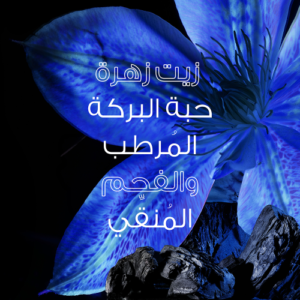 غارنييه بلسم الترا دو لتنقية ولمعان الشعر بخلاصة الفحم الأسود وزيت حبة البركة - 360مل